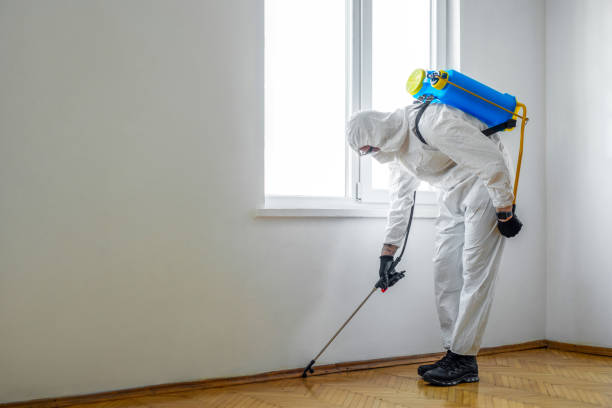 Best Fumigation Services  in Petersburg, WV